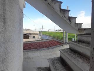 Vista