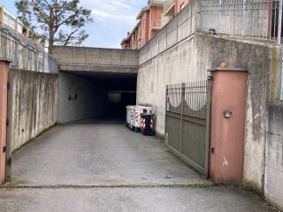Ingresso