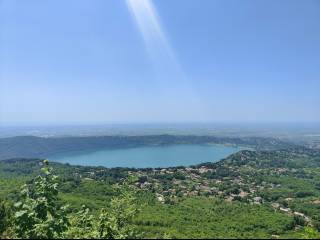 Vista