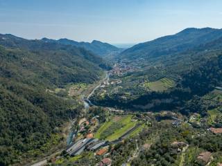 Vista