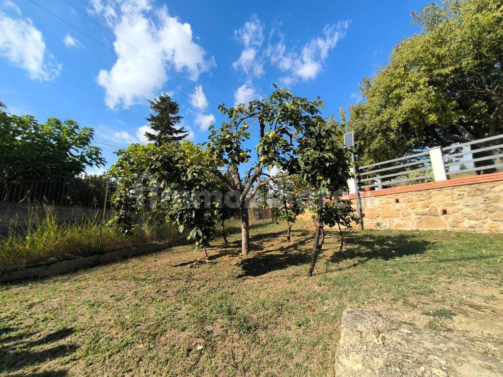 Terreno