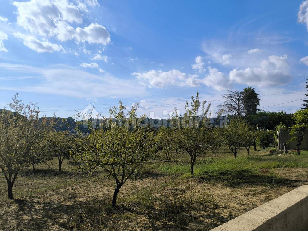 Terreno