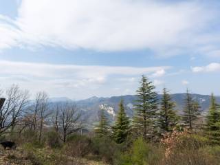 Vista