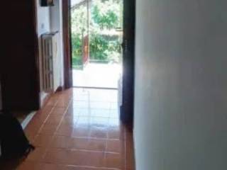 Ingresso