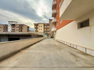 Zona