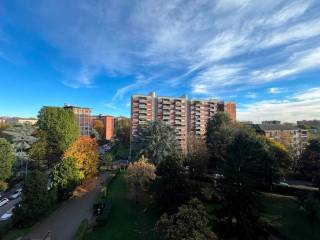Vista