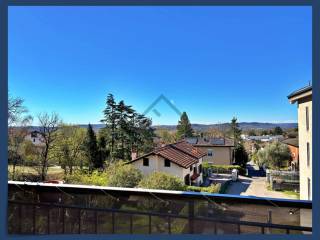 Vista