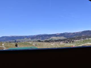 Vista