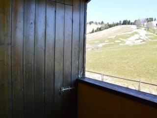 Vista