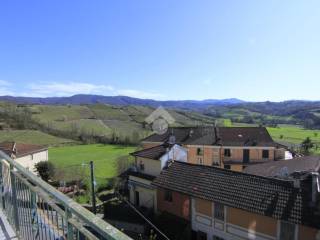 Vista