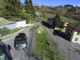 Vista
