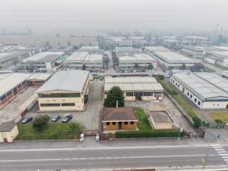 Vista