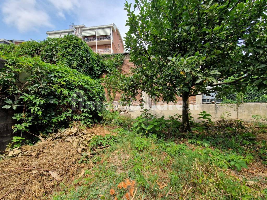 Terreno