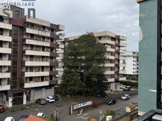 Vista
