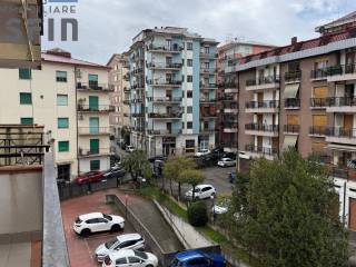 Vista