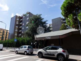 Zona