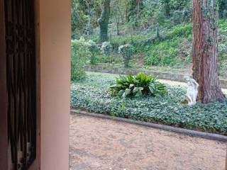 Ingresso