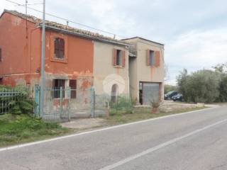 Zona
