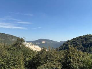 Vista