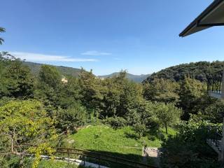 Vista