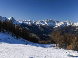 Vista