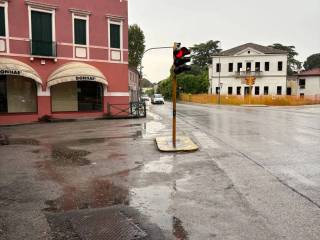 Zona