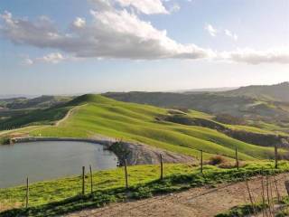Vista
