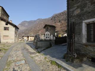 Zona