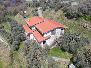 Vista