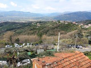 Vista