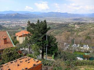 Vista