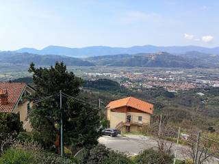 Vista