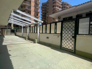 Zona