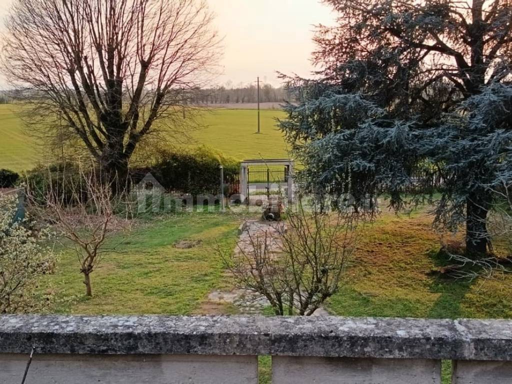 Vista