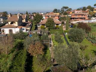 Vista