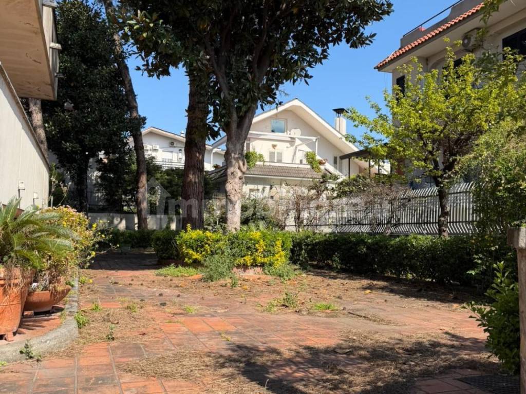 Giardino