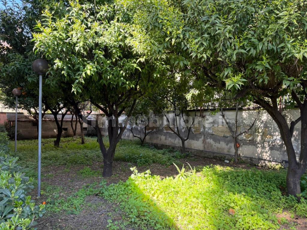 Giardino