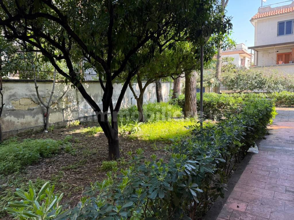Giardino
