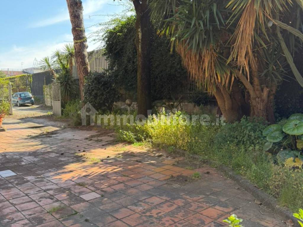 Giardino