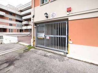 Ingresso