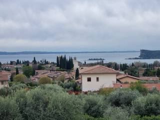 Vista