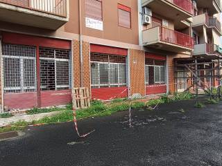 Zona