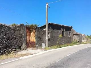 Zona