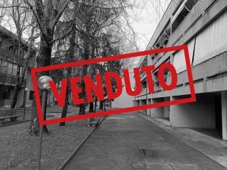 Zona