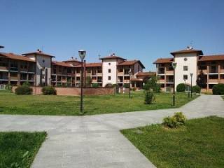 Zona