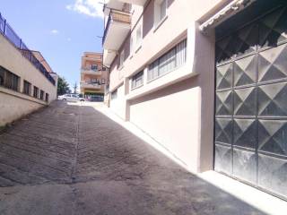 Zona