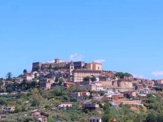 Zona