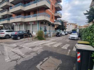 Zona