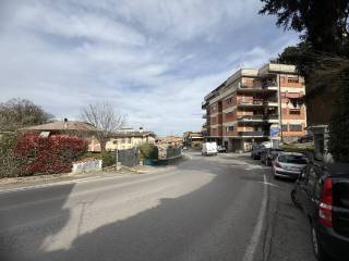Zona