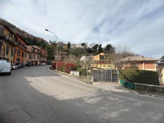 Zona